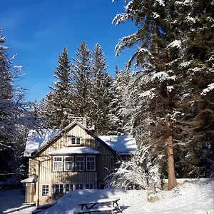 https://dw-lesnik.karpacz-hotel.com